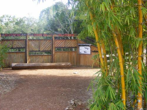 Lake Eacham Tourist Park & Cabins