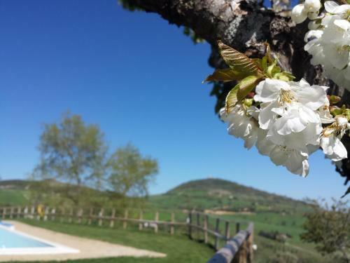 Hostal Agriturismo Fattoriale Le Origini