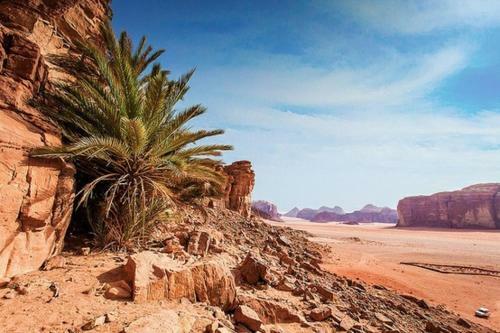 Bedouin Advisor Camp