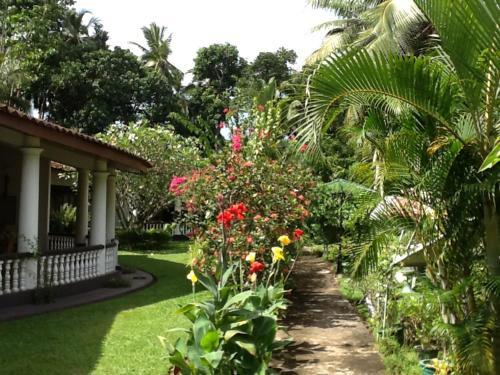 Hostal Leijay Resort