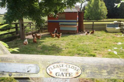 Agroturismo Decoy Country Cottages