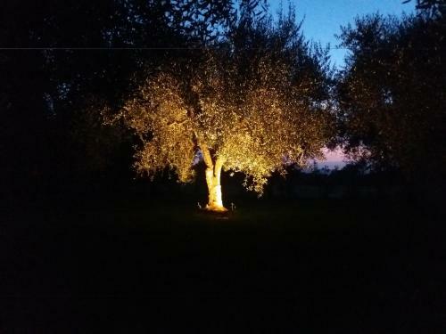 Apartamento Appartamenti Gli Ulivi Di Maremma