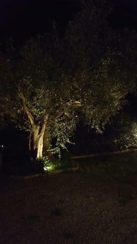 Apartamento Appartamenti Gli Ulivi Di Maremma