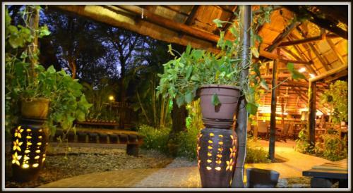 Phumula Kruger Lodge And Safaris