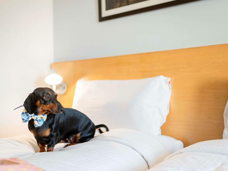 Hotel Ibis New Delhi Aerocity