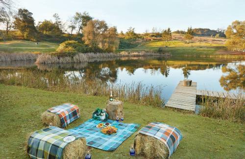 Hotel Midlands Saddle And Trout