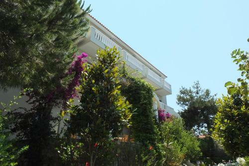 Orizontes View Hotel