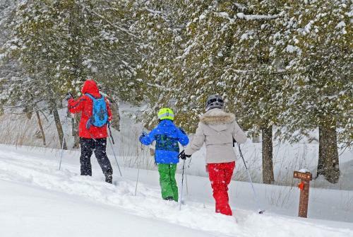 Hotel Canaan Valley Resort State Park