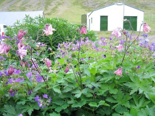 Hostal Guesthouse Kirkjubol In Bjarnardalur