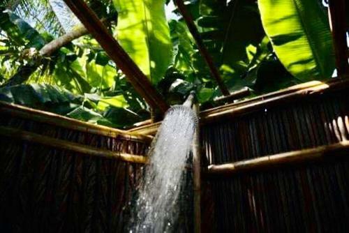 Under The Coconut Tree Hoi An Homestay