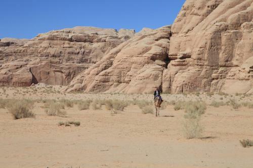 The Bedouin Meditation Camp