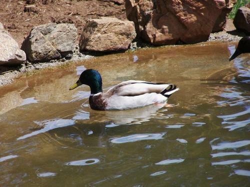 Parque Biologico de Vinhais