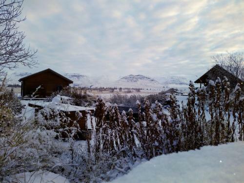 Hestasport Cottages