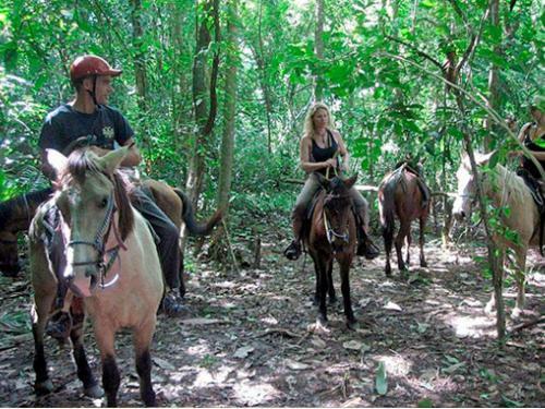 Omega Tours Eco-jungle Lodge
