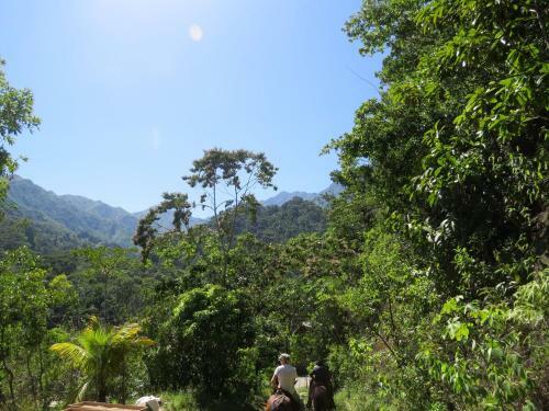 Omega Tours Eco-jungle Lodge