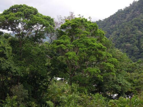 Omega Tours Eco-jungle Lodge