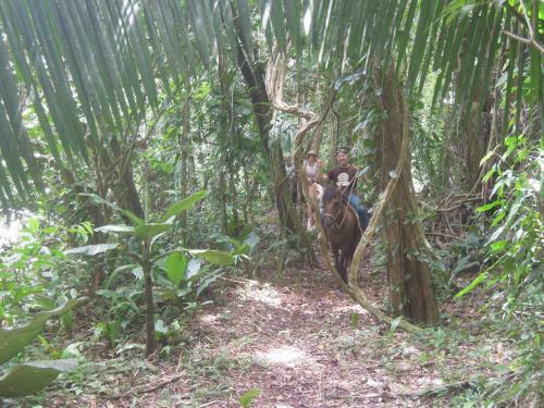 Omega Tours Eco-jungle Lodge