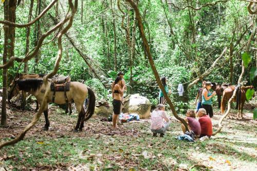 Omega Tours Eco-jungle Lodge