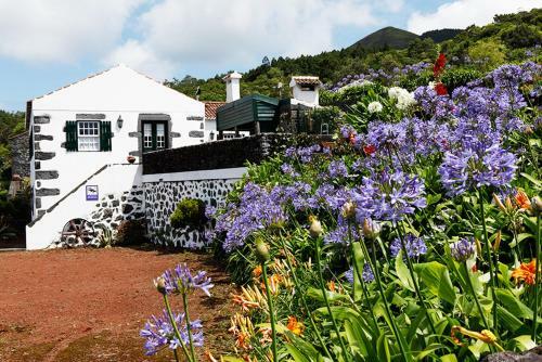 Casas Do Capelo