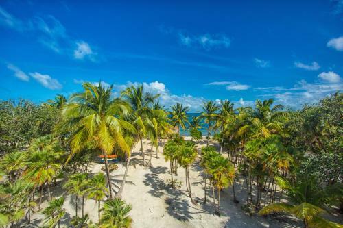 Wild Orchid Villas
