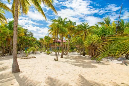 Wild Orchid Villas