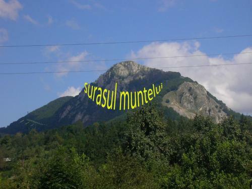 Hostal Surasul Muntelui