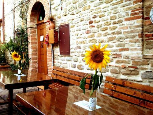 Agroturismo Al Castello Di Montalfoglio
