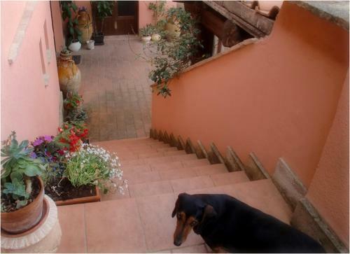 Hostal Pineta Country House