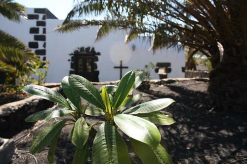 Agroturismo Casa Rural Finca Isabel