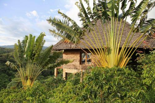Hotel Exploreans Ngorongoro Lodge - All Inclusive