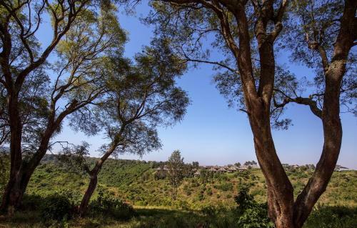 Hotel Exploreans Ngorongoro Lodge - All Inclusive