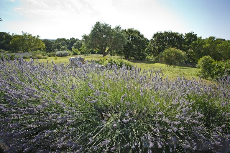 Agroturismo Podere Papilio