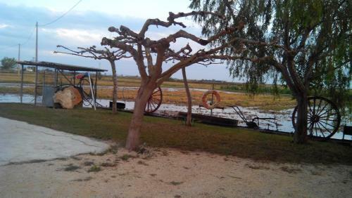 Agroturismo Caseta Montanyana