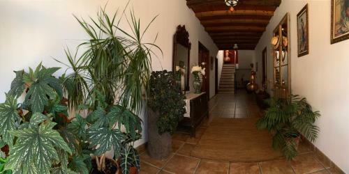 Agroturismo Casa Rural La Jara