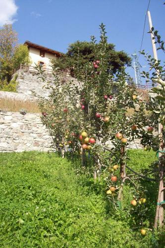Agroturismo Agriturismo Au Jardin Fleuri