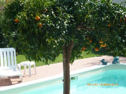 Agroturismo Casal Da Corti�ada