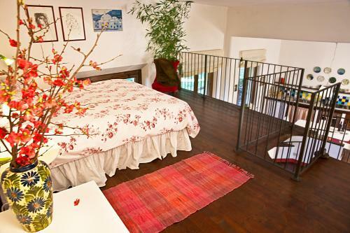 Agroturismo Il Molendino Pisa B&B