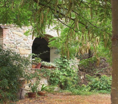 Agroturismo Il Molendino Pisa B&B