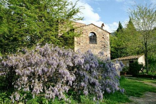 Agroturismo Il Molendino Pisa B&B