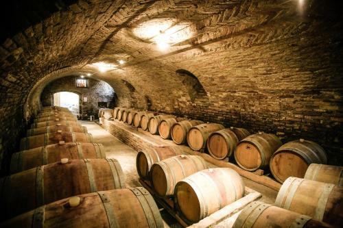 Hotel Naturalmente Wine Resort