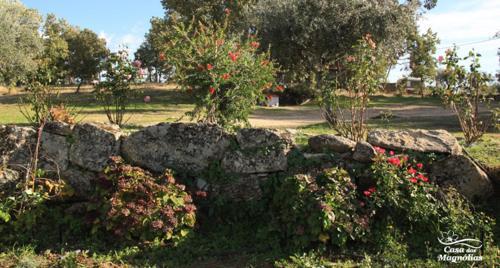 Agroturismo Casa Das Magnolias