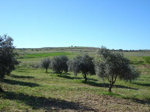 Agroturismo Horta Do Muro