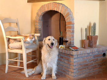 Agroturismo Relais Poggio Al Vento