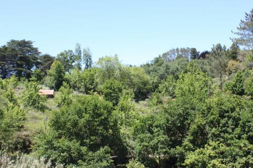 Agroturismo Quinta Das Faias