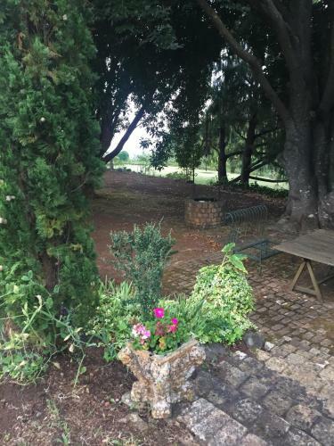 Agroturismo Quinta Das Faias