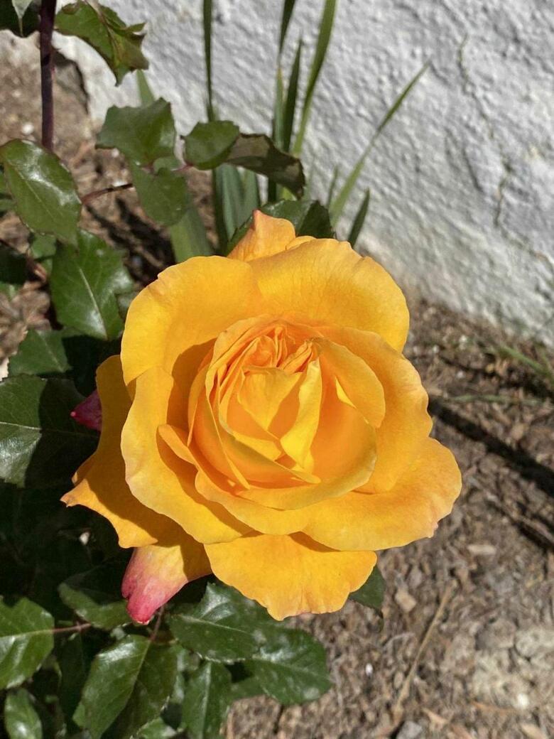Agroturismo Cuevas Andalucia