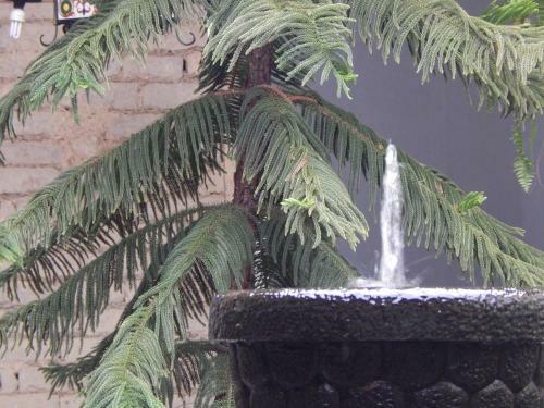 Bed & Breakfast Posada De San Antonio