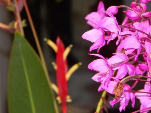 Bed & Breakfast Posada De San Antonio