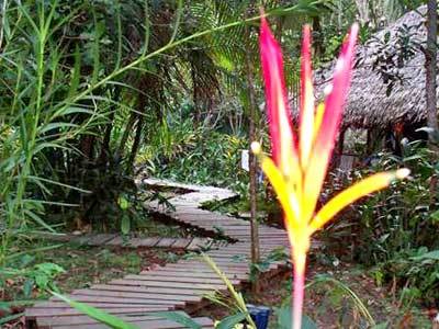 Hostal Reserva Natural Heliconia Amazonas