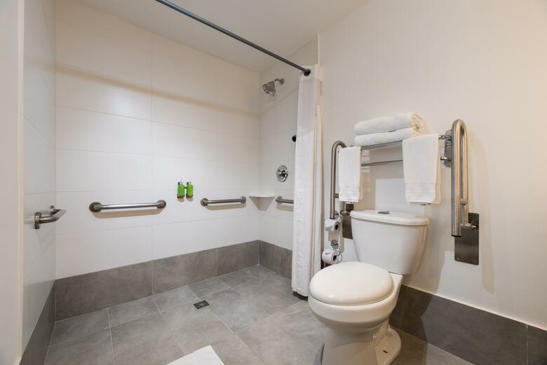 Hotel Holiday Inn Express & Suites Medellin